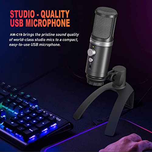 AM-C19 USB Condenser Microphone