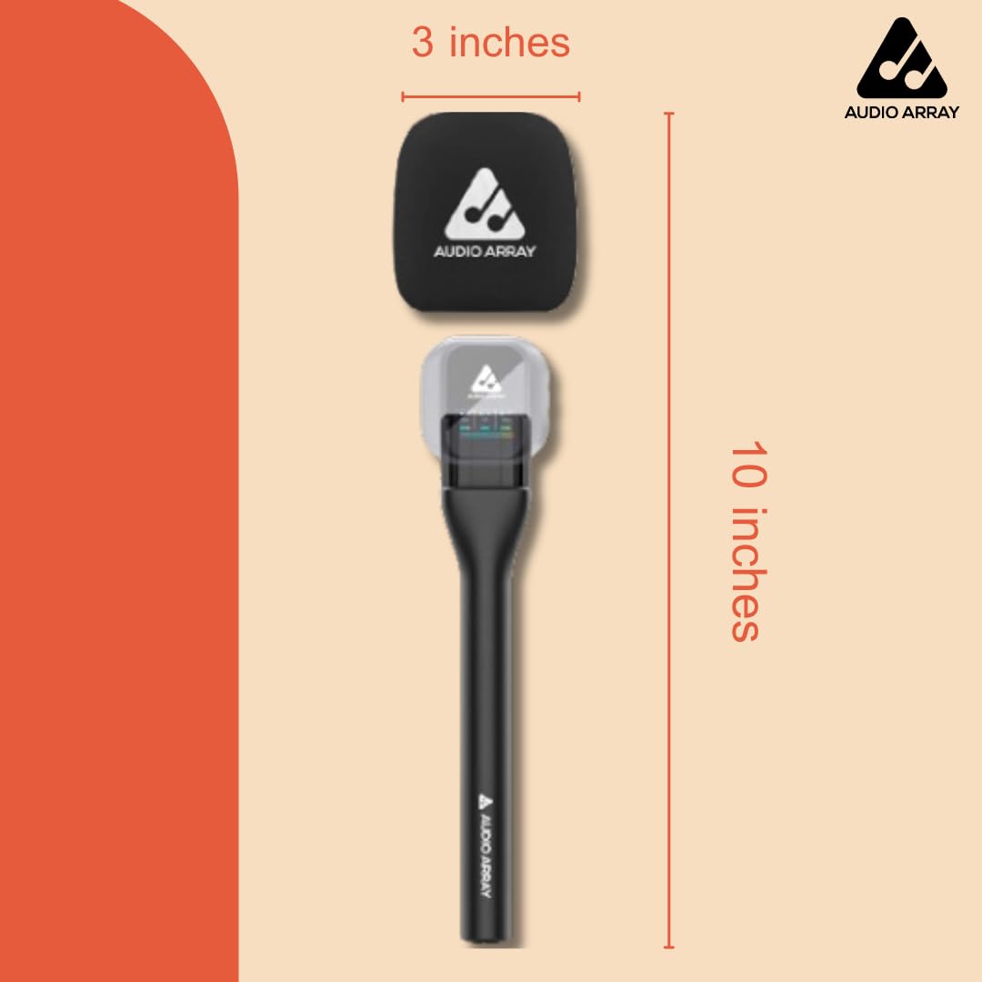 AWB-01 Wireless Mics AM-W10 & Handheld Interview Adapter AA-25