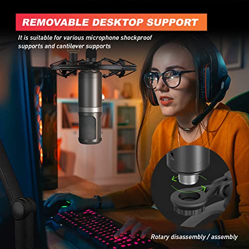 AM-C19 USB Condenser Microphone