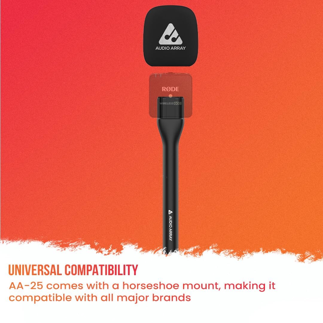 AWB-01 Wireless Mics AM-W10 & Handheld Interview Adapter AA-25