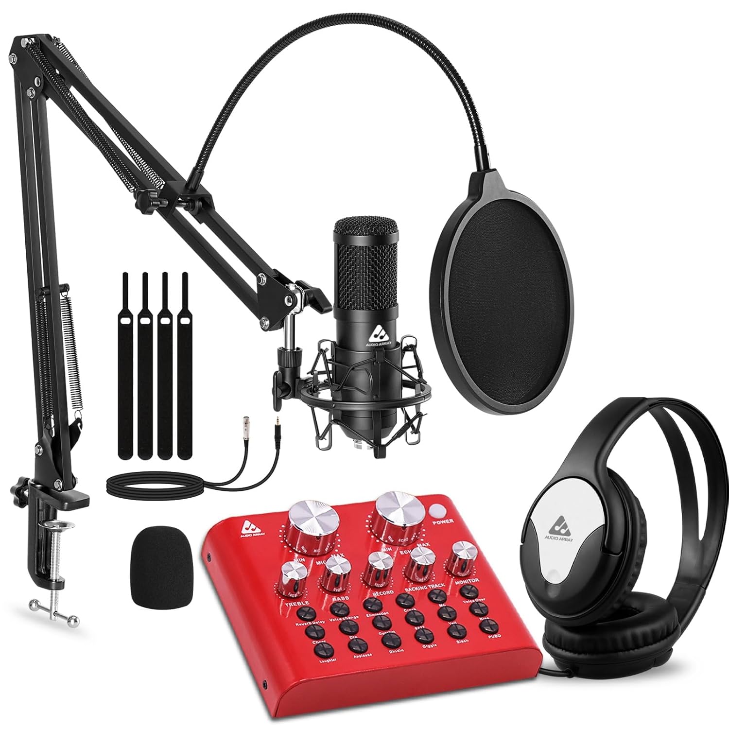 Audio Array PB-14 Professional Recording Bundle AI-12 Sound Card
