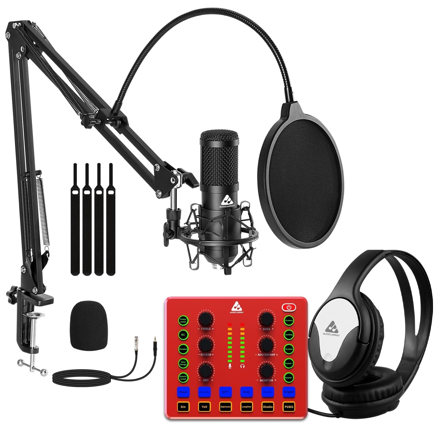 Audio Array PB-13 Professional Recording Bundle AI-11 Sound Card